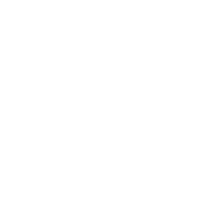 Dutch Trade Masters